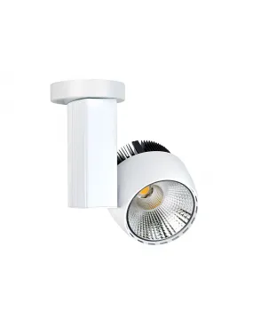 IKAR 01 Proj. s/patère blanc angle 36° LED intég. 40W 3000K 4000lm ARIC 50188
