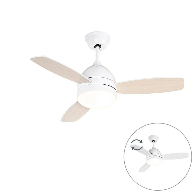 Ventilateur de plafond blanc avec télécommande - Rotar